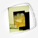 Цена: $ 30. Mascagni 13х18 385M Green 