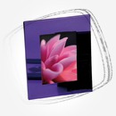 Цена: $ 30. Mascagni 13х18 385R Violet 