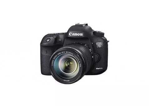 Фото: Canon EOS 7D Mark II kit 18-135 IS STM
