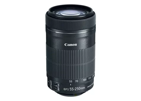 Фото: Canon EF-S 55-250mm f/4-5.6 IS STM (8546B005)