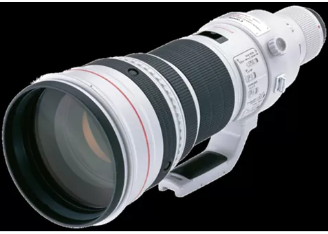 Фото: Canon EF 600mm f/4L IS II USM