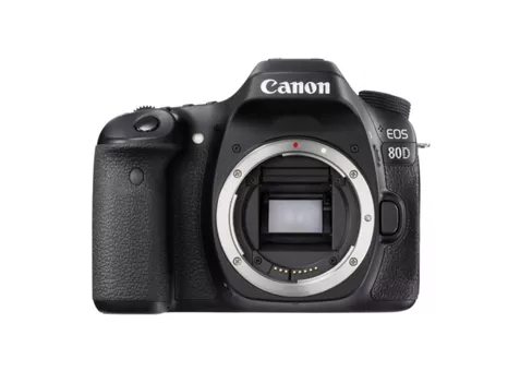 Фото: Canon EOS 80D (Wi-Fi) body (1263C031)