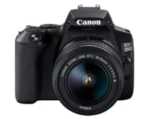 Фото: Canon EOS 250D kit 18-55 DC III Black (3454C009)