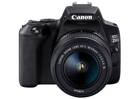 Фото: Canon EOS 250D kit 18-55 DC III Black (3454C009)