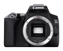 Фото: Canon EOS 250D body Black