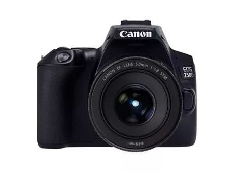 Фото: Canon EOS 250D kit 50 f/1.8 STM Black