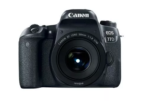 Фото: Canon EOS 77D kit 50 f/1.8 STM
