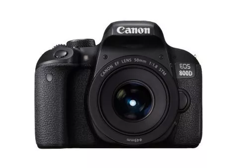 Фото: Canon EOS 800D kit 50 f/1.8 STM