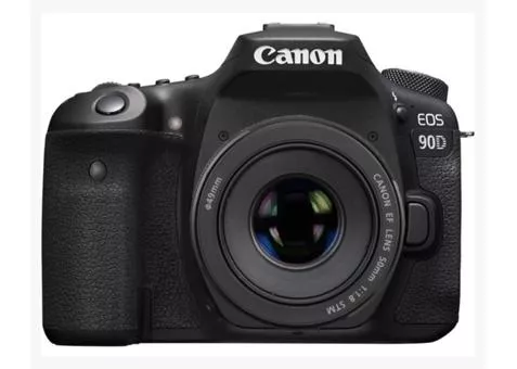 Фото: Canon 90D kit 50 f/1.8 STM