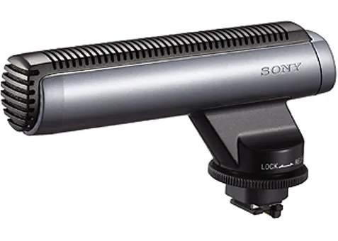 Фото: Sony ECM-HGZ1