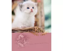 Фото: UFO 10x15x200 PP-46200 White Cat