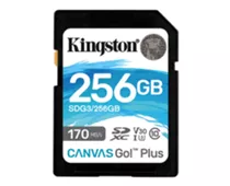 Фото: Kingston 256GB SDXC C10 UHS-I U3 R170/W90MB/s Canvas Go Plus (SDG3/256GB)