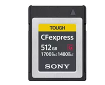 Фото: Sony 512 GB CFexpress Type B (CEBG512.SYM)