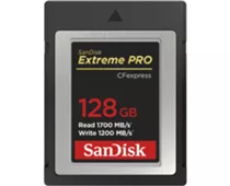 Фото: SanDisk 128 GB Extreme PRO CFexpress Card Type B (SDCFE-128G-GN4IN)