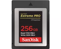 Фото: SanDisk 256 GB Extreme PRO CFexpress Card Type B (SDCFE-256G-GN4IN)
