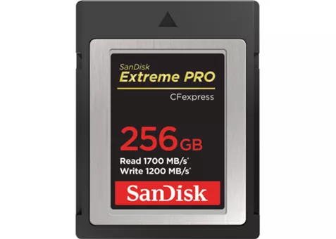 Фото: SanDisk 256 GB Extreme PRO CFexpress Card Type B (SDCFE-256G-GN4IN)
