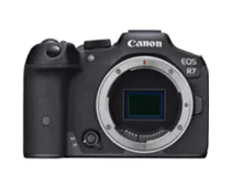 Фото: Canon EOS R7 Body (5137C041)
