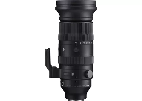 Фото: Sigma 60–600mm F4.5–6.3 DG OS HSM Sport (Leica L)