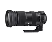 Фото: Sigma 60-600mm F4.5-6.3 DG OS HSM Sport (Nikon)