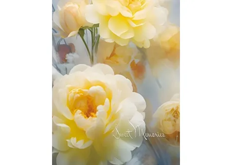 Фото: UFO 10x15x200 PP-46200 Tenderness