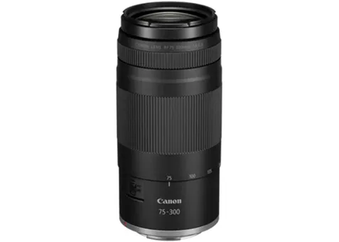 Фото: Canon RF 75-300mm f/4-5.6