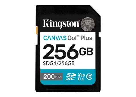 Фото: Kingston 256GB SDXC R200/W160MB/s V30 UHS-I