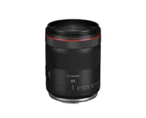 Фото: Canon RF 85mm F1.4L VCM