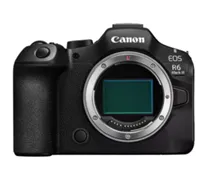 Фото: Canon EOS R6 Mark III
