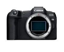 Фото: Canon R8 Kit RF 50mm f/1.8 STM