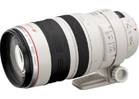 Фото: Canon EF 100-400 f/4.5 -5.6L IS USM