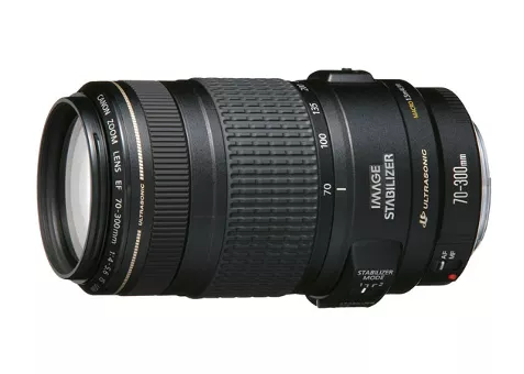Фото: Canon EF 70-300 f/4-5.6 IS USM