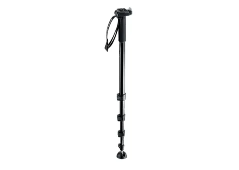 Фото: Manfrotto 559B