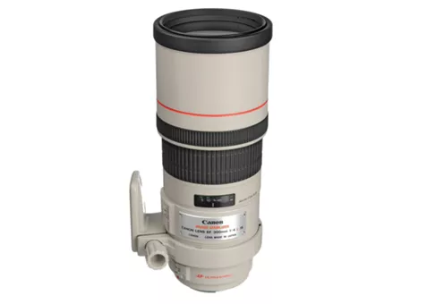 Фото: Canon EF 300mm f/4L IS USM (2530A017)