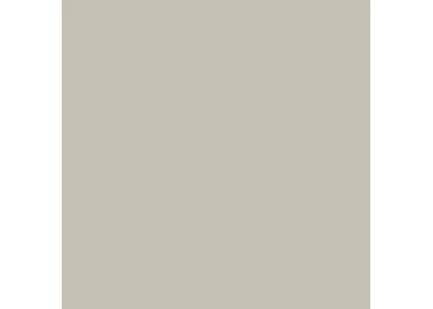 Фото: Falcon Фон бумажный 2,72х11,00 серый (Photo) BD153A1