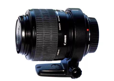 Фото: Canon MP-E 65mm f/2.8 1-5x Macro гарантия производителя