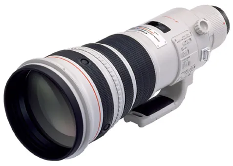 Фото: Canon EF 500mm f/4L IS USM