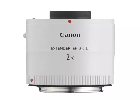 Фото: Canon Extender EF 2x III